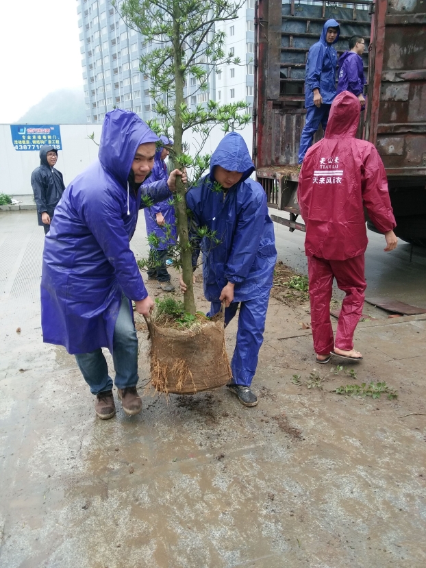 银娱优厚会717(中国)股份有限公司
