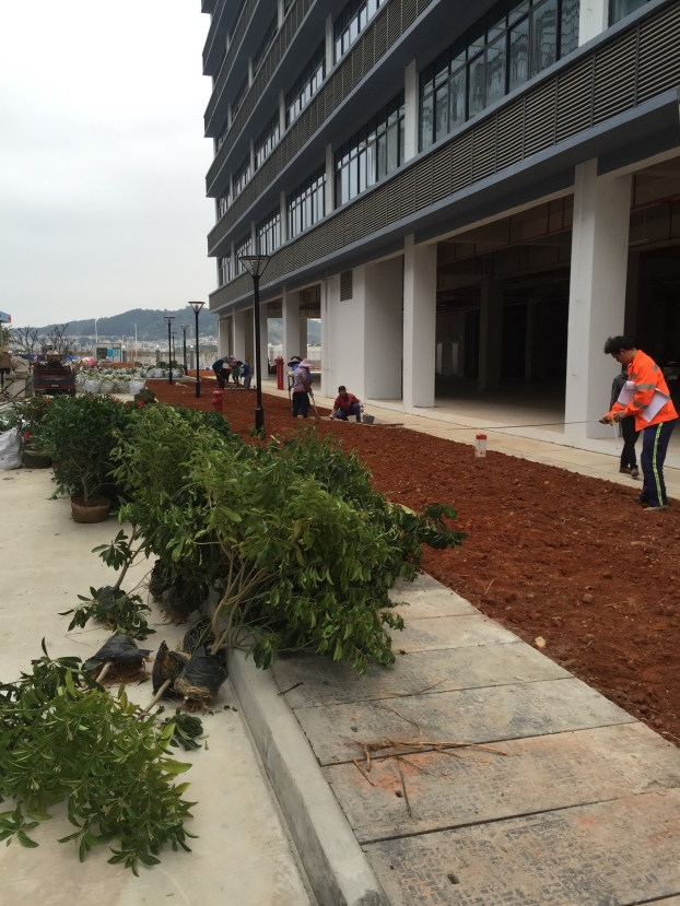 银娱优厚会717(中国)股份有限公司