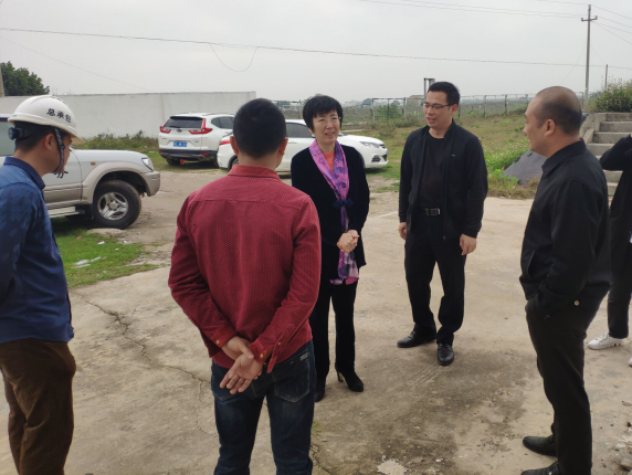 11辛红梅视察项目。梁荣程 摄700.png