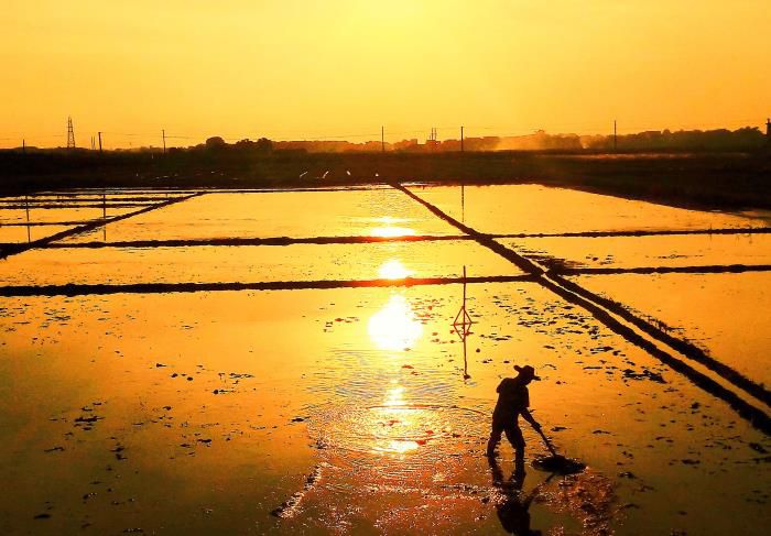 5摄影文章《耕作》获三等奖。韦荣伟 摄-13768307144700.jpg